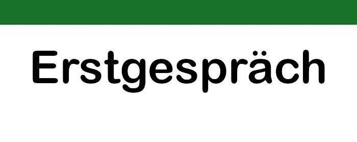 Erstgespräch zu Fragen im Datenschutz, DSGVO, BDSG, LDSG, HinschG. u.a.