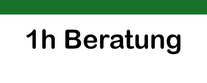 Eine Stunde Beratung zu Fragen im Datenschutz nach DSGVO; BDSG, LDSG, HinweisgeberschutzGesetz