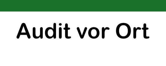 Datenschutz-Audit vor Ort, Umsetzung DSGVO, BDSG