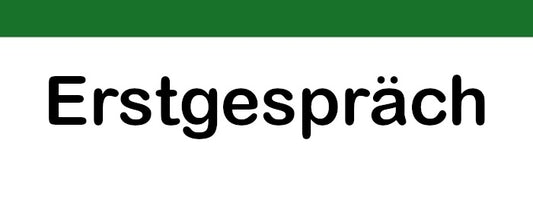 Erstgespräch zu Fragen im Datenschutz, DSGVO, BDSG, LDSG, HinschG. u.a.