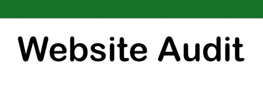 Website-Audit